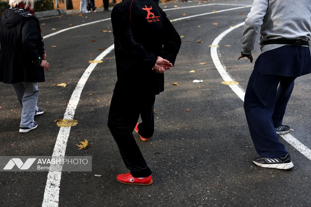 همايش پاییزی تای جی