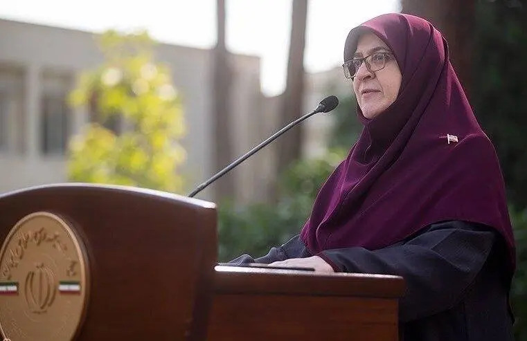 مهاجرانی: درخواست ایران برای نشست با ویتکاف در نیویورک رد شد