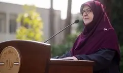 مهاجرانی: درخواست ایران برای نشست با ویتکاف در نیویورک رد شد
