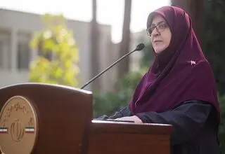 مهاجرانی: درخواست ایران برای نشست با ویتکاف در نیویورک رد شد