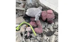 دلنوشته «جنابخان» عروسک محبوب خطاب به صاحب عروسک رهاشده در آوارهای جنگ