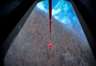 حدود ۸ هکتار از جنگل‌های الیت دچار حریق شده است