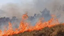 مهار آتش‌سوزی در ارتفاعات آبیدر سنندج با مشارکت همیاران طبیعت
