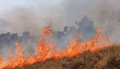 مهار آتش‌سوزی در ارتفاعات آبیدر سنندج با مشارکت همیاران طبیعت