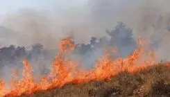 مهار آتش‌سوزی در ارتفاعات آبیدر سنندج با مشارکت همیاران طبیعت