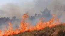 مهار آتش‌سوزی در ارتفاعات آبیدر سنندج با مشارکت همیاران طبیعت