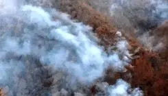  آخرین وضعیت آتش‌سوزی در جنگل‌های هیرکانی مازندران