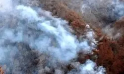  آخرین وضعیت آتش‌سوزی در جنگل‌های هیرکانی مازندان