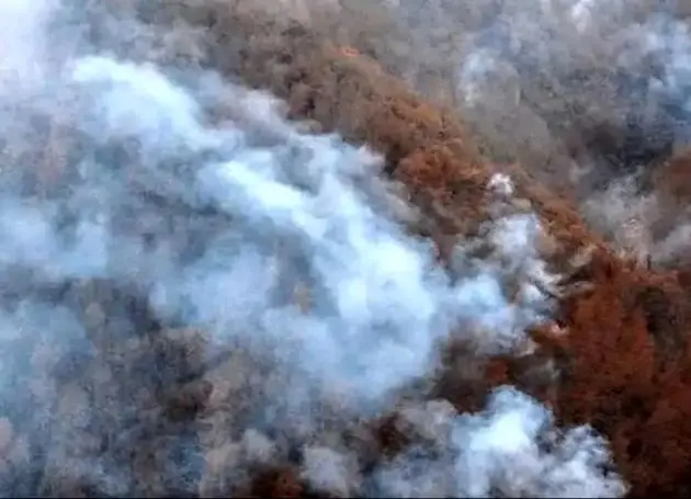  آخرین وضعیت آتش‌سوزی در جنگل‌های هیرکانی مازندان