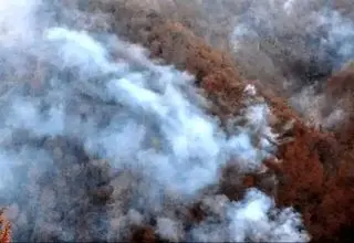  آخرین وضعیت آتش‌سوزی در جنگل‌های هیرکانی مازندان