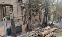 اقدام تکراری شهرداری؛ قطع راه‌های تنفس تهران