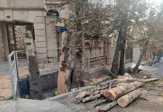 اقدام تکراری شهرداری؛ قطع راه‌های تنفس تهران