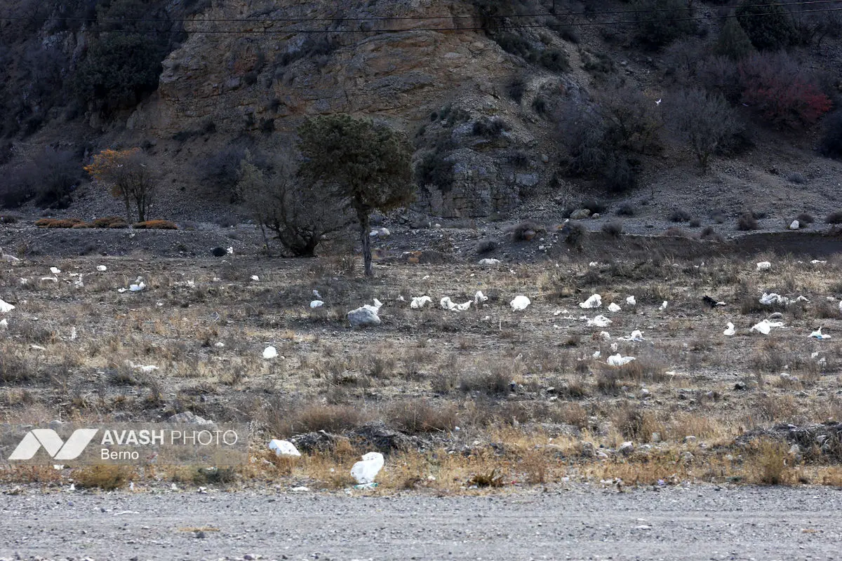 سرشماری پاییزه پارک ملی گلستان