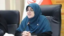  مهاجرانی: سهمیه یارانه‌ای بنزین خانوارها حفظ خواهد شد
