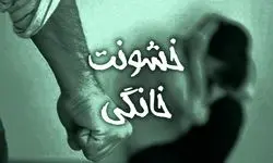 افزایش خشونت خانوادگی در شهر تهران/ 