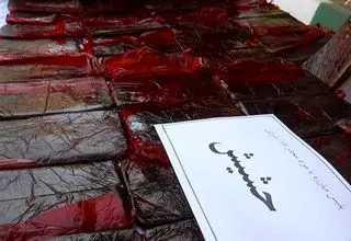 کشتن اعضای خانواده ناشی از توهم گل و حشیش