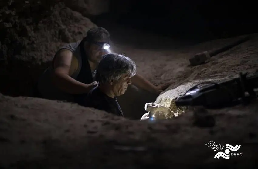 آغاز اکران آنلاین «رویاباف و قاضی»