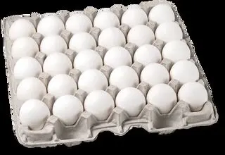 تخم مرغ در بازار چند؟