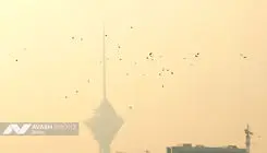 شاخص آلودگی هوای تهران امروز جمعه ۷ آذر ۱۴۰۴ 