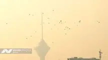 مقصران آلودگی هوای پایتخت