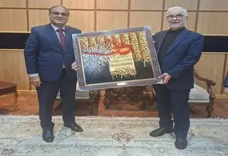 رایزنی‌های دو جانبه سفیر پاکستان و وزیر کشور