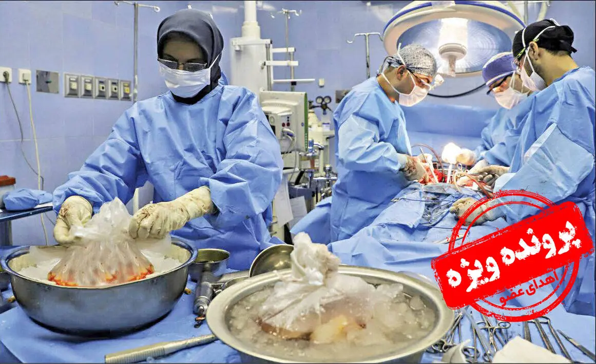 وقتی رکورد انتقال عضو اهدایی شکسته میشود