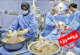 وقتی رکورد انتقال عضو اهدایی شکسته می‌شود