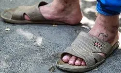 دکتر قلابی در خوابگاه‌های تهران / بفرما چای!