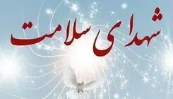افزایش شهدای تیم ملی سلامت در پی حملات به کشور