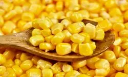 آغاز ثبت‌سفارش جدید ذرت دامی و جو از شنبه ۲۵ بهمن