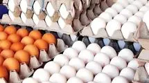 قیمت رسمی تخم مرغ اعلام شد (۲۲ آذر ۱۴۰۴)