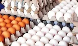 قیمت رسمی تخم مرغ اعلام شد (۲۲ آذر ۱۴۰۴)