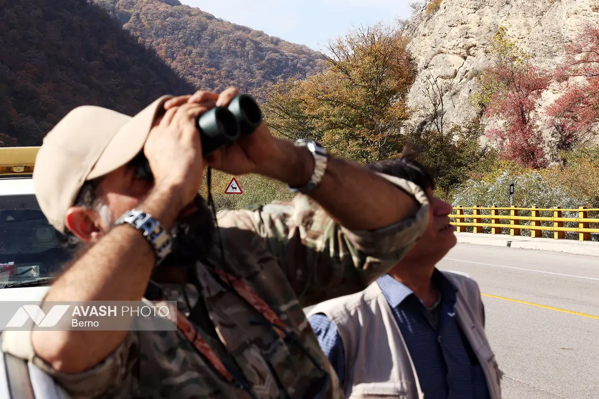 سرشماری پاییزه پارک ملی گلستان