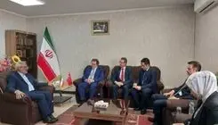 جلالیان: انتقال ایرانیان محبوس در ترکیه نیازمند رفع موانع است