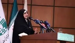 نقش کسب و کارهای خانگی در تولید ناخالص داخلی