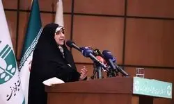 نقش کسب و کارهای خانگی در تولید ناخالص داخلی