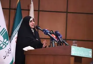 نقش کسب و کارهای خانگی در تولید ناخالص داخلی