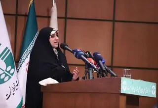 نقش کسب و کارهای خانگی در تولید ناخالص داخلی