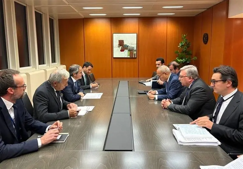 نماینده ایران با گروسی دیدار کردند