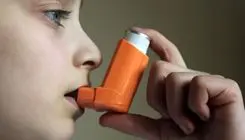 حیوانات خانگی آسم در کودکان را تشدید می‌کنند