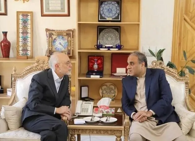 سفیر پاکستان با رئیس بنیاد ایران‌ شناسی دیدار کرد