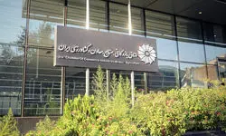 بازگشت شهروندان ایرانی از دوبی با حمایت اتاق بازرگانی