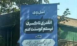 ترجمه شعرگونه اشتباه جملات نسل زدی