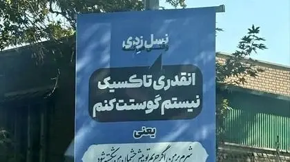 ترجمه شعرگونه اشتباه جملات نسل زدی