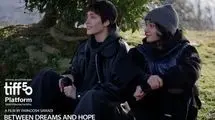 فیلمی به تهیه‌کنندگی نوید محمدزاده در جشنواره فیلم تورنتو 