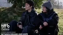 فیلمی به تهیه‌کنندگی نوید محمدزاده در جشنواره فیلم تورنتو 