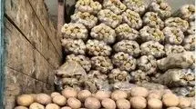 کاهش قیمت سیب‌زمینی و گوجه فرنگی در بازار 