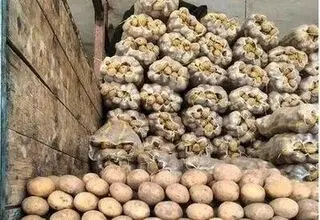 کاهش قیمت سیب‌زمینی و گوجه فرنگی در بازار 