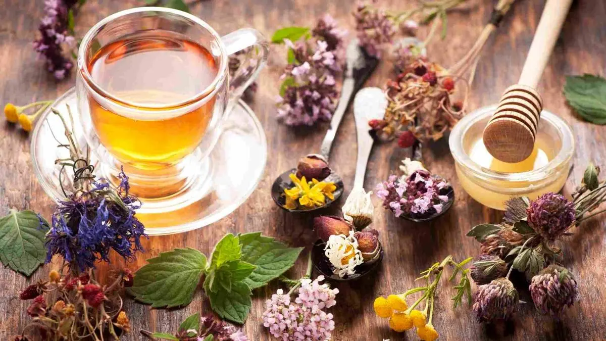 ۷ دمنوش پاییزی برای تقویت سیستم ایمنی و رفع خستگی