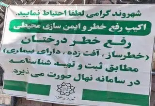 گزارش رفع خطر درختان و ایمن‌سازی محیطی در باغ فردوس